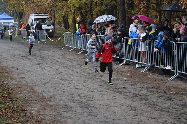 Indywidualne Biegi Przełajowe z okazji Święta Niepodległości w strugach deszczu