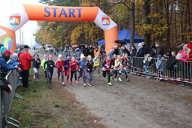 Indywidualne Biegi Przełajowe z okazji Święta Niepodległości w strugach deszczu