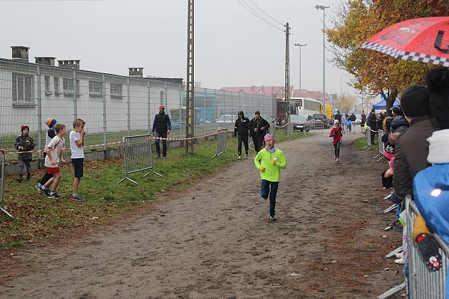 Indywidualne Biegi Przełajowe z okazji Święta Niepodległości w strugach deszczu