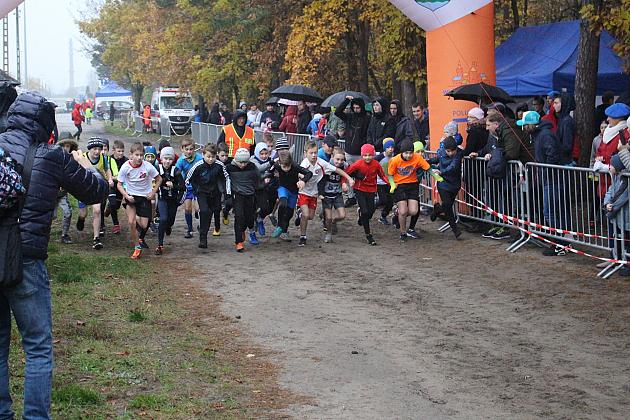 Indywidualne Biegi Przełajowe z okazji Święta Niepodległości w strugach deszczu