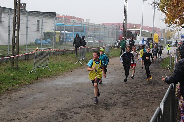 Indywidualne Biegi Przełajowe z okazji Święta Niepodległości w strugach deszczu