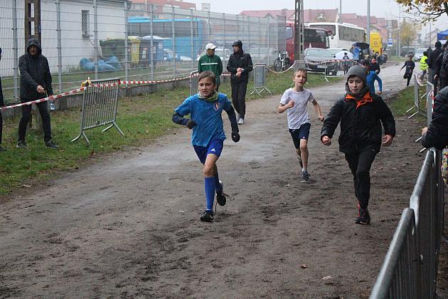 Indywidualne Biegi Przełajowe z okazji Święta Niepodległości w strugach deszczu