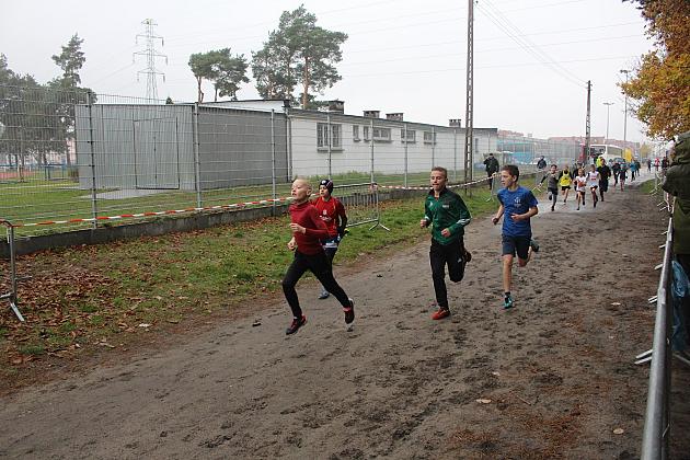 Indywidualne Biegi Przełajowe z okazji Święta Niepodległości w strugach deszczu