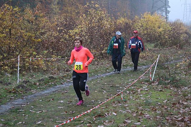 Indywidualne Biegi Przełajowe z okazji Święta Niepodległości w strugach deszczu