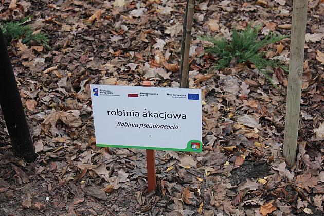 „Mini Park” nad rzeką Łebą zmienił oblicze