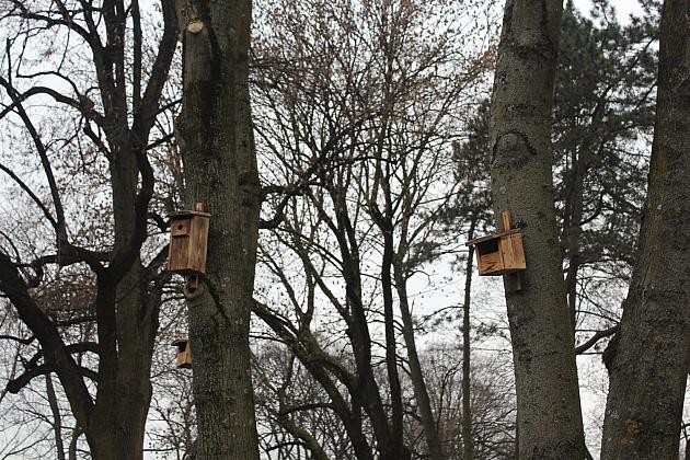 „Mini Park” nad rzeką Łebą zmienił oblicze