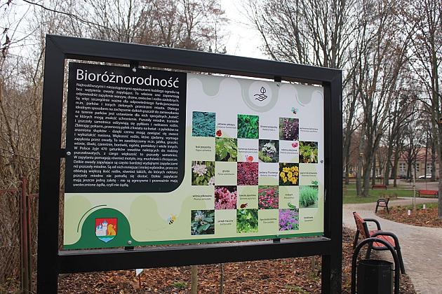 „Mini Park” nad rzeką Łebą zmienił oblicze