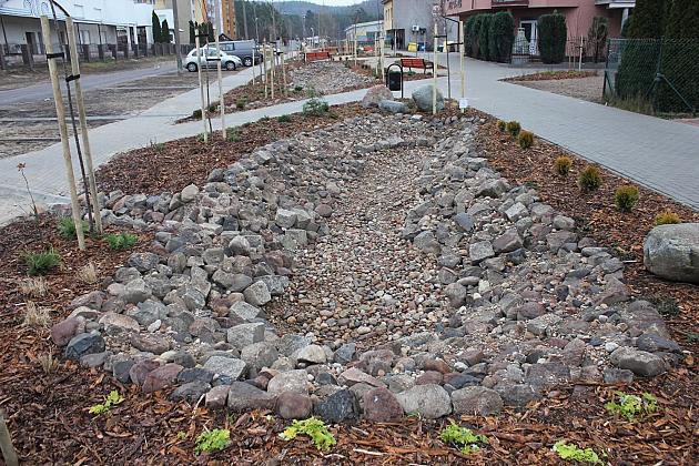 Przy Olimpijczyków powstały ogrody deszczowe