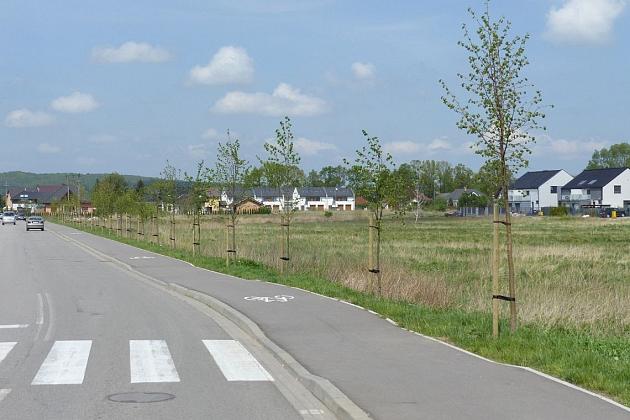 30 lat samorządności Lęborka