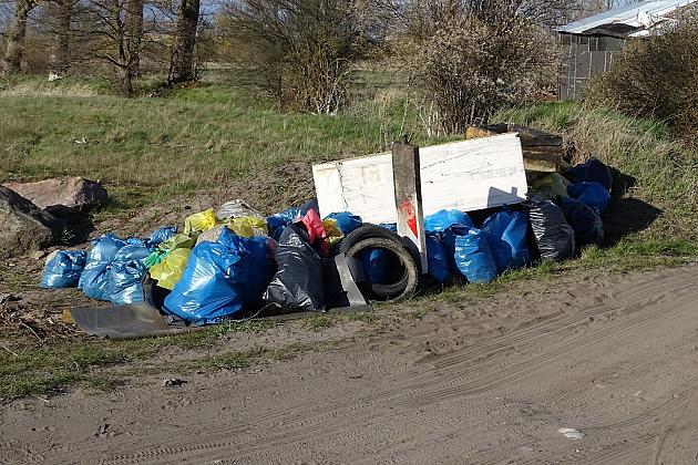 Czyszczenie rzeki Łeby