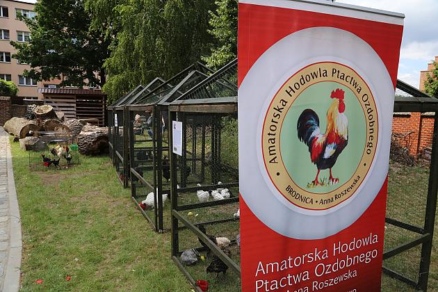 Festiwal Rzemiosł Dawnych w cieniu Sanktuarium św. Jakuba