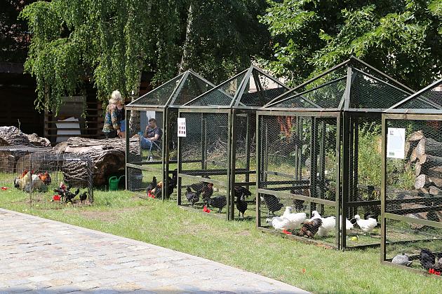 Festiwal Rzemiosł Dawnych w cieniu Sanktuarium św. Jakuba