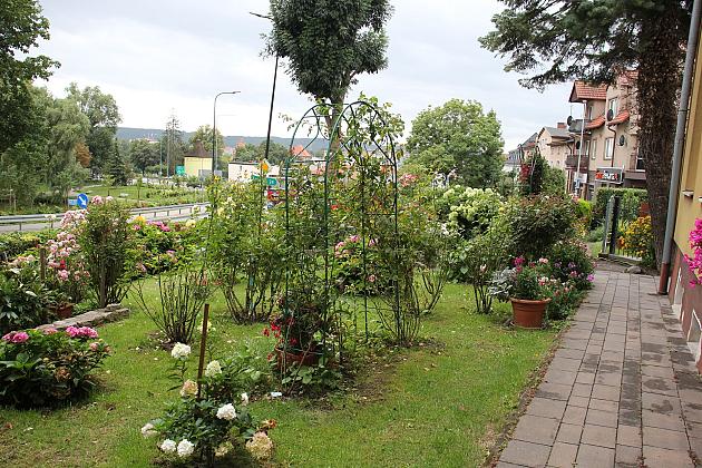 Jubileusz 50-lecia małżeństwa i medal dla Państwa Miotk