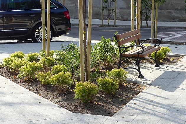 Akcja rewitalizacja na Kazimierza Wielkiego