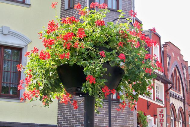 Więcej kwiatów i miejsc do wypoczynku