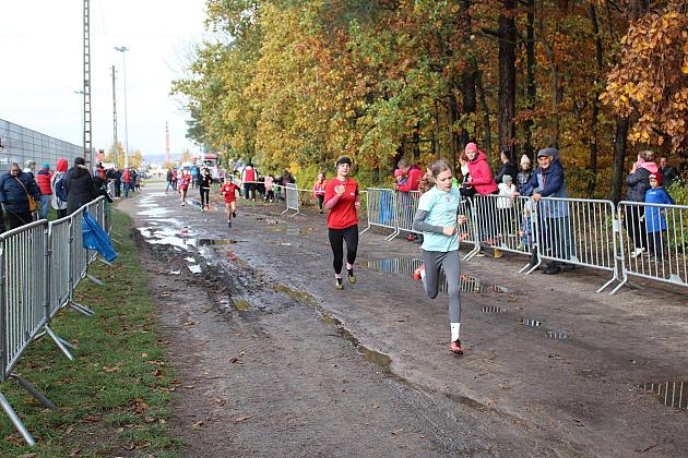 Biegi Przełajowe z okazji Święta Niepodległości