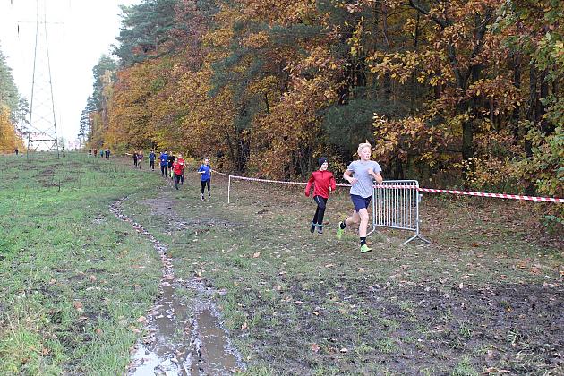 Biegi Przełajowe z okazji Święta Niepodległości