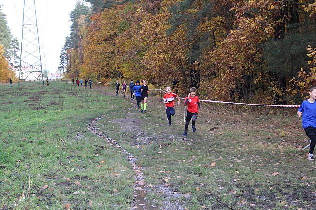 Biegi Przełajowe z okazji Święta Niepodległości