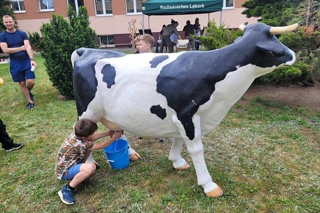 Piknik Rodzinny w Szkole Podstawowej nr 7