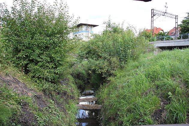 Akcja melioracja. Trwa koszenie i odmulanie rowów melioracyjnych