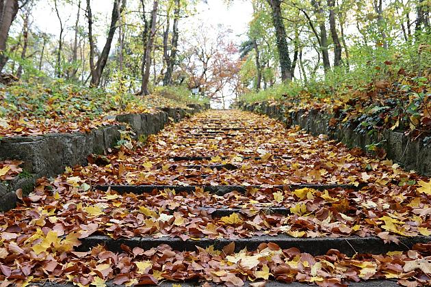 Start prac przy renowacji schodów do Wieży Ciśnień
