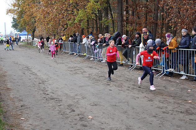 Pobiegli z okazji Święta Niepodległości