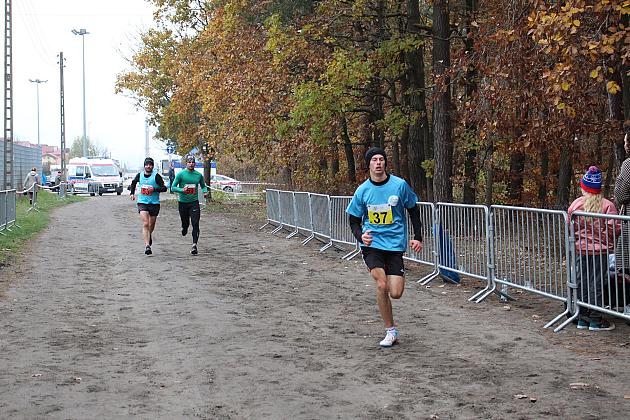 Pobiegli z okazji Święta Niepodległości