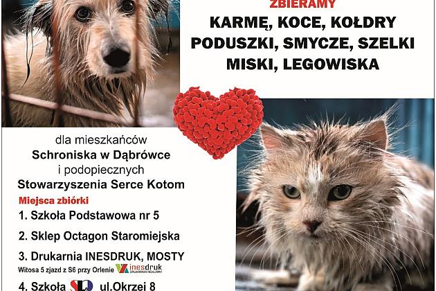 W ratuszu ruszyła zbiórka dla zwierząt