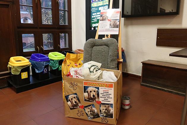 W ratuszu trwa zbiórka dla zwierząt. Są już pierwsze efekty