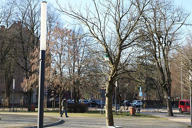 Nowe budki lęgowe dla ptaków już na drzewach