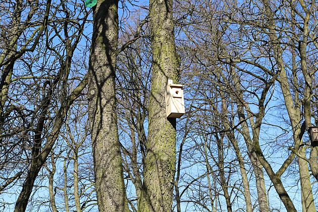 Nowe budki lęgowe dla ptaków już na drzewach