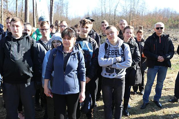 Wielka akcja wspólnego sadzenia lasu w Nadleśnictwie Lębork