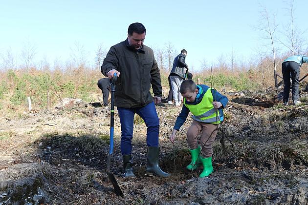 Wielka akcja wspólnego sadzenia lasu w Nadleśnictwie Lębork