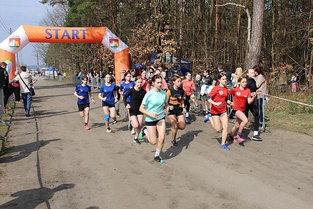 Biegacze wrócili do rywalizacji w Grand Prix Lęborka