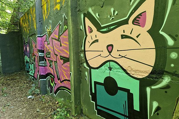 Bitwa o Miasto Lębork 2025 – eksplozja kolorów i serc