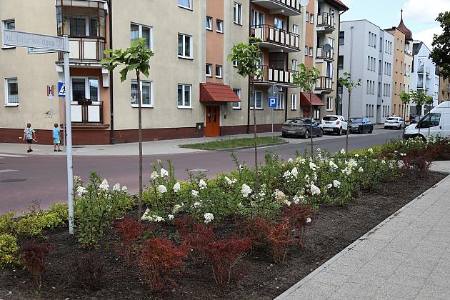 Zieleń wraca do centrum Lęborka