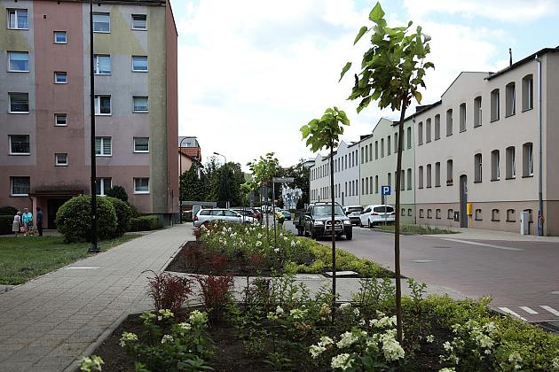 Zieleń wraca do centrum Lęborka