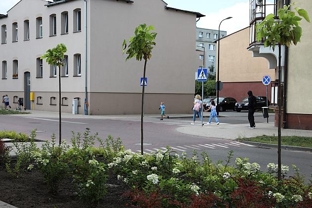 Zieleń wraca do centrum Lęborka