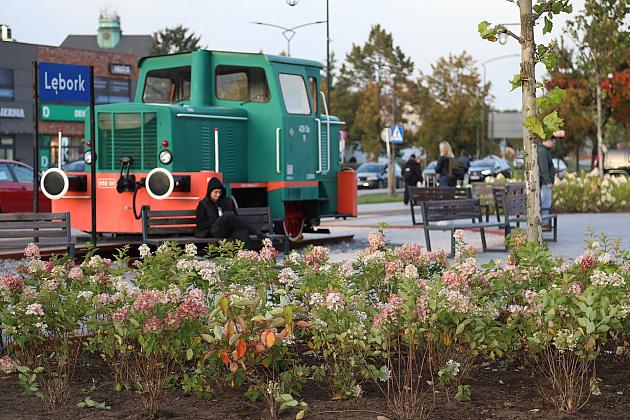 Krzewy i drzewa zmieniają krajobraz Lęborka