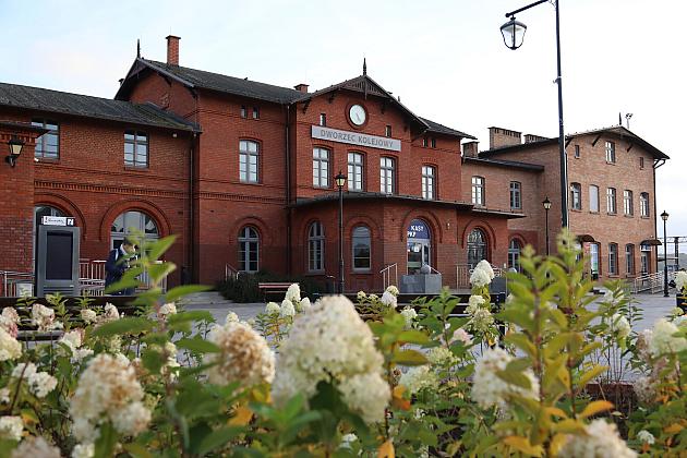 Krzewy i drzewa zmieniają krajobraz Lęborka