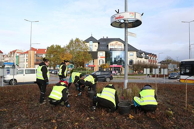Rondo Solidarności rozkwitnie w biało - czerwonych barwach
