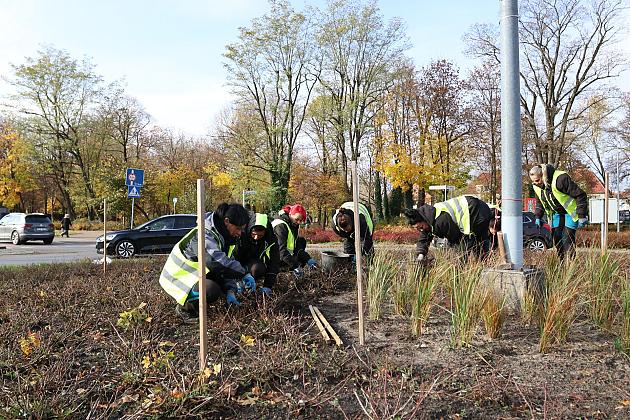 Rondo Solidarności rozkwitnie w biało - czerwonych barwach