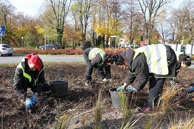 Rondo Solidarności rozkwitnie w biało - czerwonych barwach