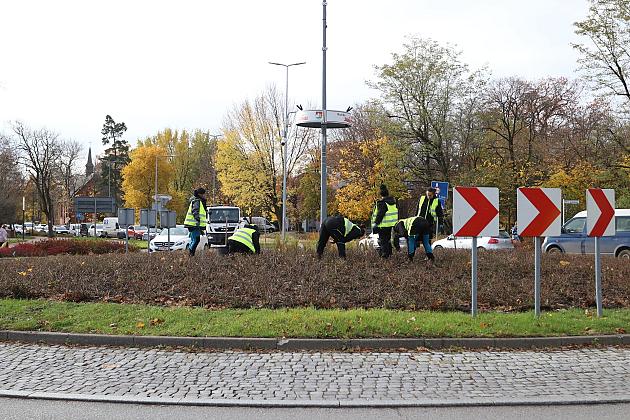 Rondo Solidarności rozkwitnie w biało - czerwonych barwach
