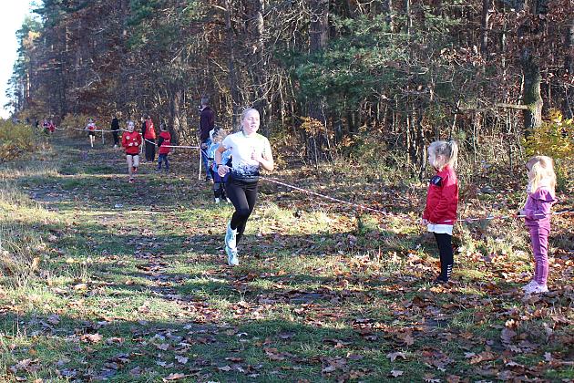 Świętowanie niepodległości na sportowo – 240 uczestników w Biegu o Grand Prix Lęborka