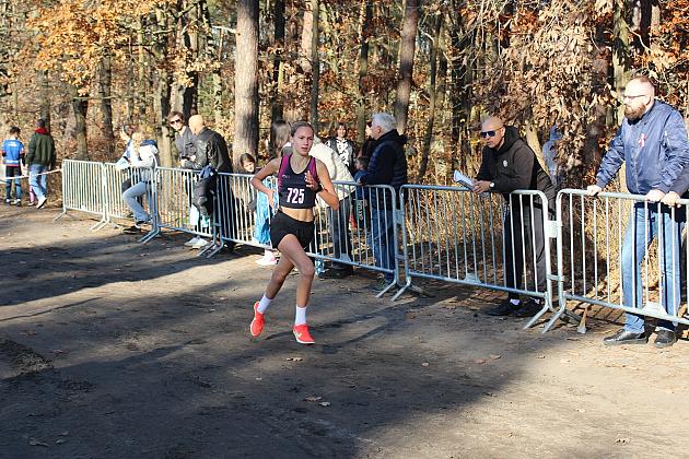 Świętowanie niepodległości na sportowo – 240 uczestników w Biegu o Grand Prix Lęborka