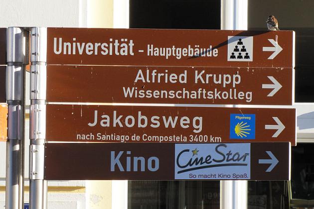 Jakubowe warsztaty w Greifswaldzie