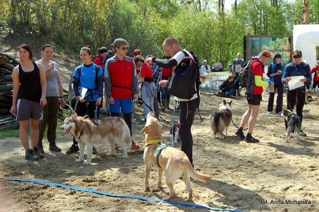 Zawody Dogtrekkingu w Lęborku