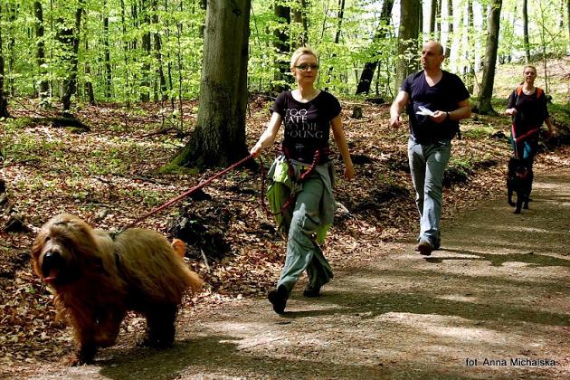 Zawody Dogtrekkingu w Lęborku