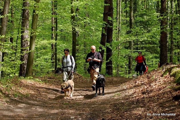 Zawody Dogtrekkingu w Lęborku